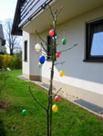 2009-04-14_11-30-46_IMGP5474.jpg