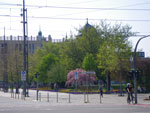 2009-04-15_13-43-55_IMGP5485.jpg