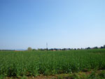 2009-04-16_13-06-27_IMGP5490.jpg