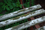 2009-04-18_12-31-50_DSC_1055.jpg