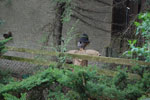 2009-04-18_12-34-53_DSC_1064.jpg