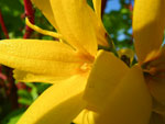 2009-04-20_09-06-12_IMGP5598.jpg