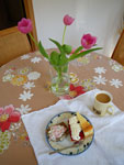 2009-04-22_11-29-44_IMGP5625.jpg