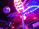 2009-04-25_00-09-11_IMGP5689.jpg