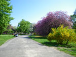 2009-04-25_14-57-14_IMGP5735.jpg