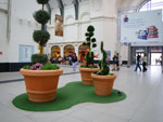 2009-04-26_17-30-55_IMGP5803.jpg