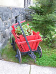 2009-05-01_18-47-46_IMGP5884.jpg