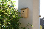 2009-05-02_17-25-57_DSC_1104.jpg