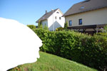 2009-05-02_17-46-58_DSC_1124.jpg