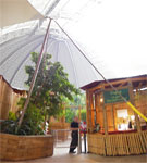 2009-05-06_11-52-24_IMGP7578-pan.jpg