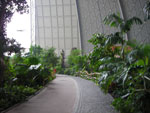 2009-05-06_12-11-05_IMGP7584.jpg
