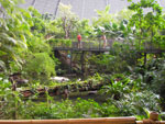2009-05-06_12-11-50_IMGP7586.jpg