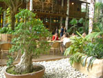 2009-05-06_15-54-14_CIMG7514.jpg