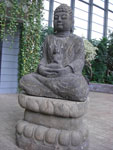 2009-05-06_15-57-28_CIMG7522.jpg