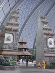 2009-05-06_15-57-38_CIMG7523.jpg