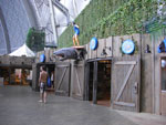 2009-05-06_15-57-45_CIMG7524.jpg
