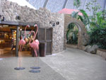 2009-05-06_15-59-07_CIMG7530.jpg