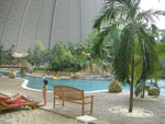 2009-05-06_15-59-44_CIMG7531.jpg