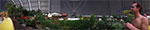 2009-05-06_16-04-00_IMGP7624-pan.jpg