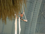2009-05-06_19-19-24_CIMG7573.jpg