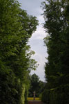 2009-05-07_14-45-49_DSC_1339.jpg