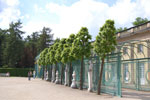2009-05-07_15-17-26_DSC_1429.jpg