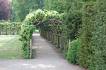 2009-05-07_15-51-44_DSC_1508.jpg