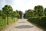 2009-05-07_15-54-53_DSC_1520.jpg