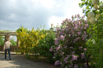 2009-05-07_16-12-03_DSC_1554.jpg