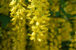 2009-05-07_16-14-00_DSC_1566.jpg