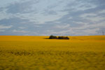 2009-05-07_20-20-27_DSC_1614.jpg