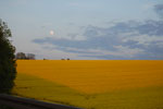 2009-05-07_20-20-59_DSC_1617.jpg