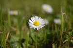 2009-05-09_16-14-20_DSC_1667.jpg