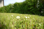 2009-05-09_16-17-01_DSC_1675.jpg