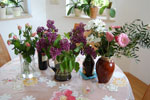 2009-05-10_15-17-33_DSC_1681.jpg
