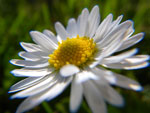 2009-05-10_17-49-26_IMGP6002.jpg