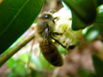 2009-05-10_18-54-43_IMGP6023.jpg