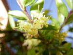 2009-05-10_19-06-27_IMGP6070.jpg