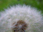 2009-05-12_19-36-28_IMGP6141.jpg