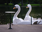 2009-05-12_19-38-13_IMGP6142.jpg