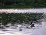 2009-05-12_19-39-24_IMGP6144.jpg