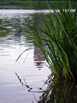 2009-05-12_19-39-43_IMGP6147.jpg