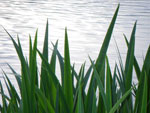 2009-05-12_19-40-20_IMGP6150.jpg