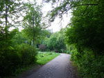 2009-05-12_19-45-11_IMGP6161.jpg
