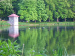 2009-05-12_19-46-01_IMGP6162.jpg