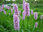 2009-05-12_19-48-07_IMGP6166.jpg
