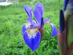 2009-05-12_19-48-36_IMGP6168.jpg