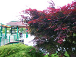 2009-05-12_19-49-20_IMGP6169.jpg