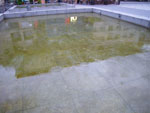 2009-05-21_20-27-27_IMGP6366.jpg