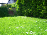2009-05-23_17-17-03_IMGP6387.jpg